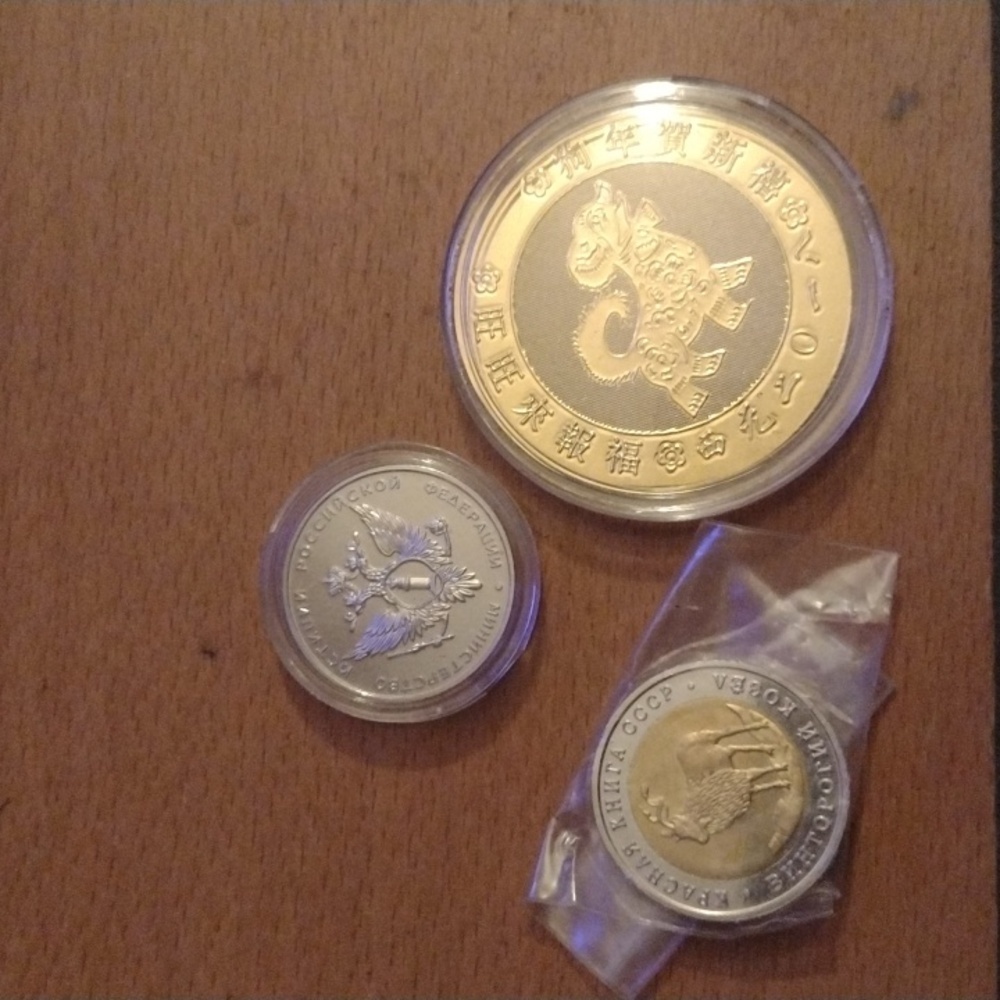 - Panda 🐼 Coin+ - Picture 2 of 4